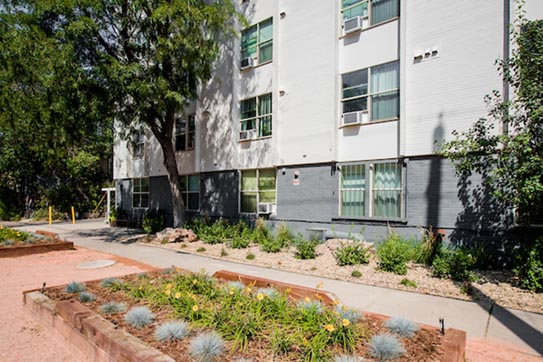 Congress Park photo 3