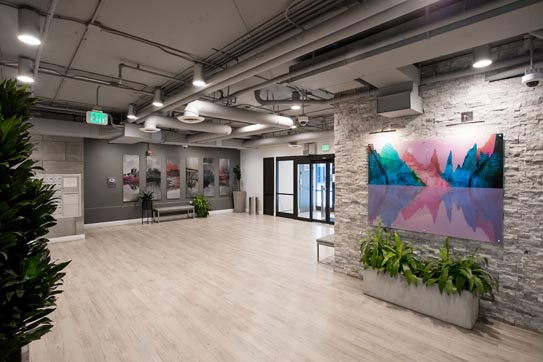 Halcyon House photo 3