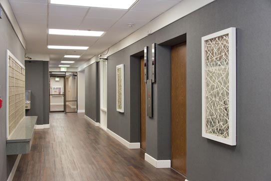 St. Francis Manor Apartments photo 2