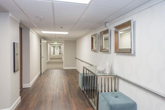 St. Francis Manor Apartments photo 16