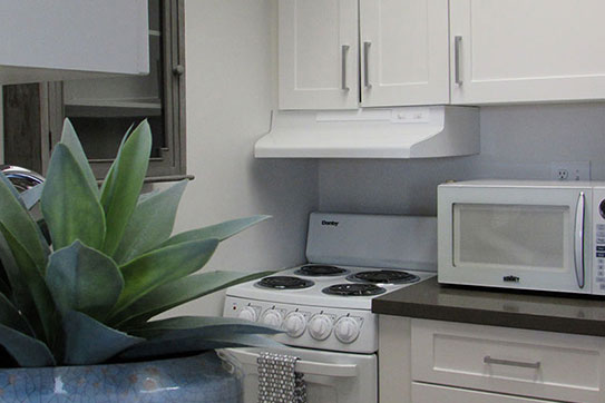 St. Francis Manor Apartments photo 19